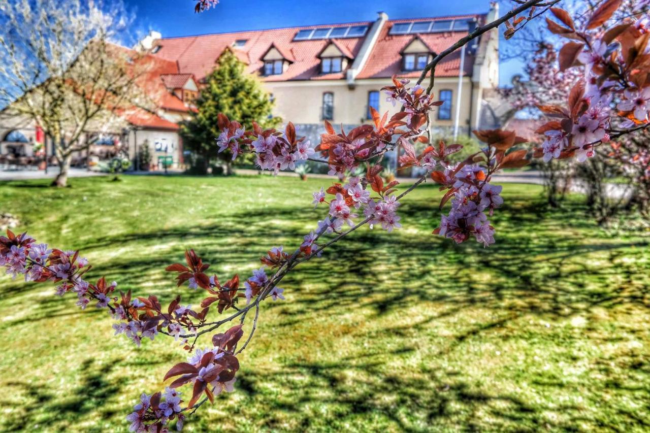 Hotel Und Restaurant Rittergut Kreipitzsch Naumburg  Buitenkant foto